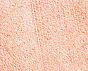 viviato_72_052
