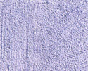 viviato_72_052